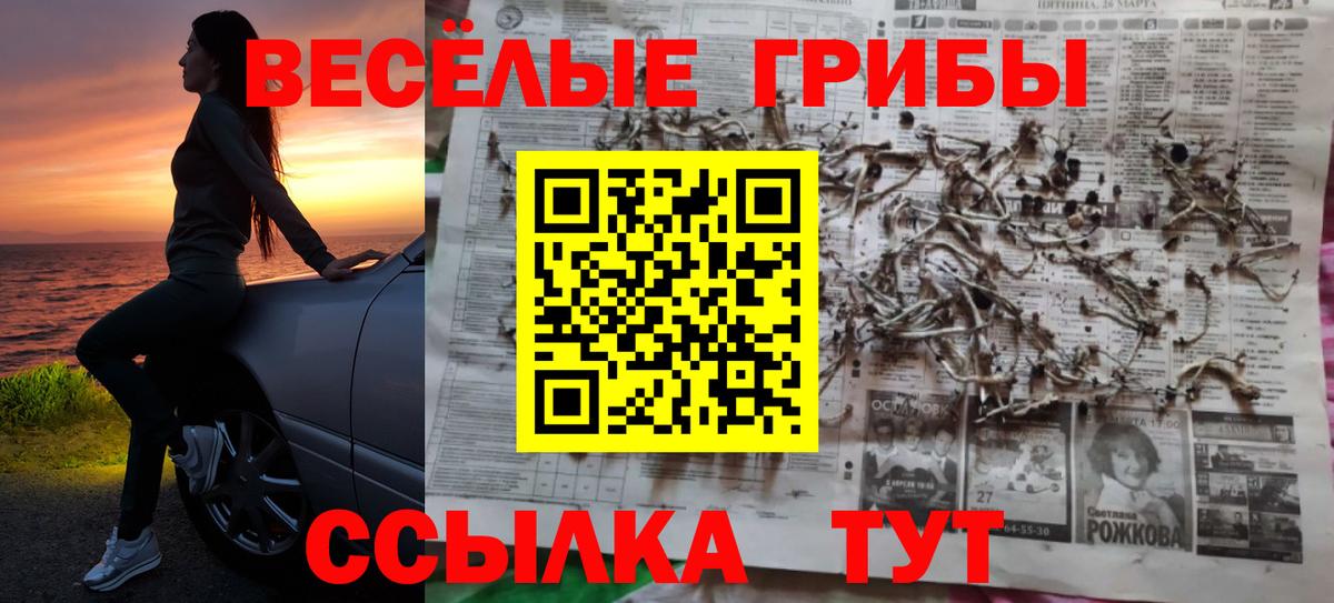 Новозыбков  магазин  наркотиков  Вход с VPN  Галлюциногенные грибы Psilocybine cubensis  Галлюциногенные грибы Cubensis 
