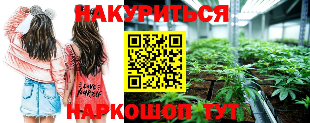 МАРИХУАНА гибрид  Каннабис SATIVA & INDICA  Вход с VPN  Новозыбков  МАРИХУАНА Amnesia 